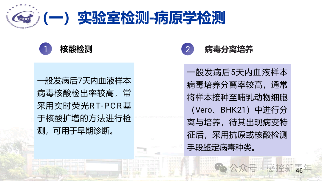 1754039408592079586.png 2e9a796f981402419aeac250edaf2207.png